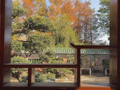 -中山市树木园
