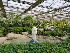 -南宫五洲植物乐园