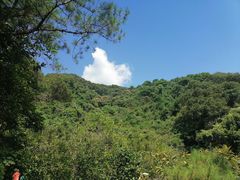 -广州白江湖森林公园