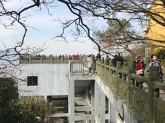 -普陀山风景区-佛顶山