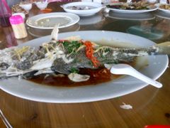 -海上驿站渔家菜馆