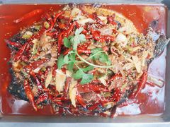 油泼肥肠烤鱼-锦尚阁烤鱼•天津菜(宣武门胡同店)