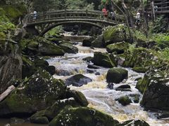 -茅兰沟国家森林公园
