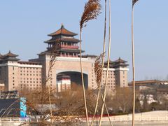 -莲花池公园
