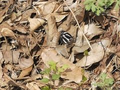 -湖洞水自然风景区