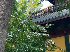 -灵顺寺