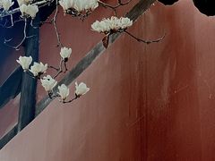 -钱王祠