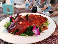 -欢乐海岸美食联盟