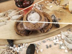 -喜上喜鸡煲翅(吉大店)