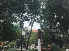 -莲湖公园