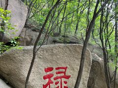 -六里坪国家森林公园