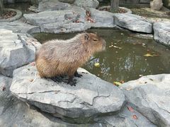 -宁波野生动物园