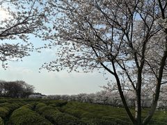 -凤凰沟景区
