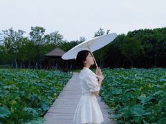 -梁鸿国家湿地公园