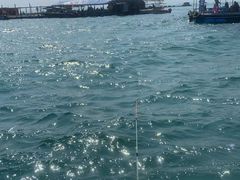 -红月湾海鲜饭店•沙滩海景(双月湾店)
