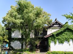 -鲁镇