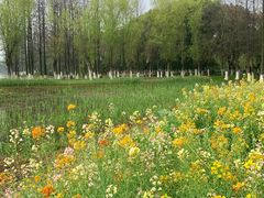-艾溪湖湿地公园