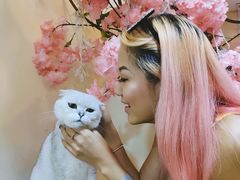 -李小姐の猫咖啡馆(五角场店)