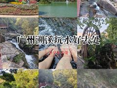 -广州白江湖森林公园