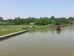 -溱湖国家湿地公园