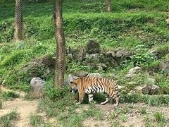 -杭州野生动物世界