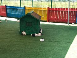 -萌宠亲子动物乐园(槐房万达店)