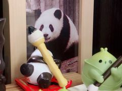 -轩客会(熊猫书店)
