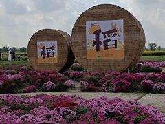 -嘉北郊野公园