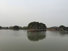 -梁鸿国家湿地公园