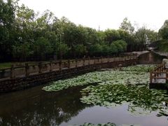 android_upload_pic-蛇蟠岛