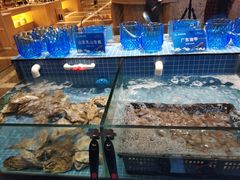 水产区-小天鹅戴斯酒店鲸鲨百汇创作料理