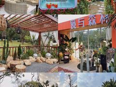 -莲花山公园