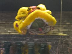 -粤凤佬