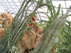 -南通洲际绿博园