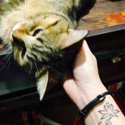 -游刃刺青TATTOO纹身工作室