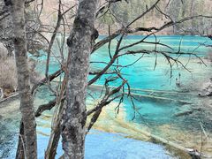 -九寨沟-树正沟