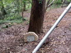 -上海佘山国家森林公园西佘山园