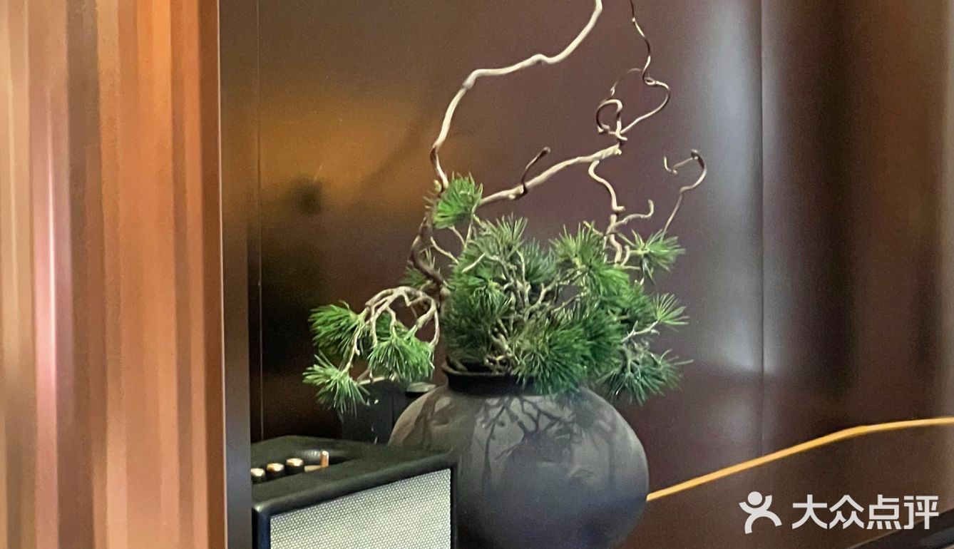 南山后海｜九十葉·抹茶