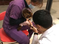 -艾贝尔宠物诊疗