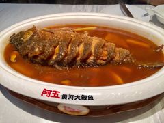 -阿五黄河大鲤鱼(英协路店)