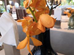 -狮王府淮扬菜(老门东店)