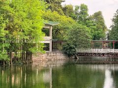-荔湾湖公园