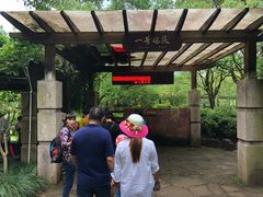 -九曲溪竹筏码头