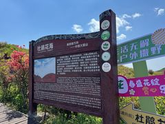 -大围山国家森林公园