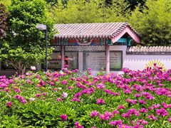 -丰台花园