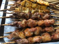 -新疆正宗烤肉营养馕(文化路店)