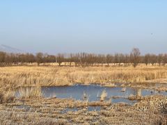 -野鸭湖国家湿地公园