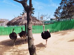 -西霞口神雕山野生动物世界