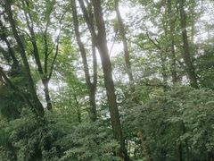 -青城山