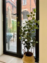 -明星刺青·洗纹身